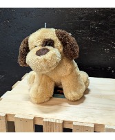 Plush 2 Tone Dog 