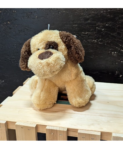 Plush 2 Tone Dog 