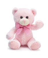Baby Pink Bear Plush 