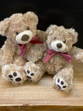 Plush bear Small or Large 