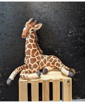 Plush Giraffe 