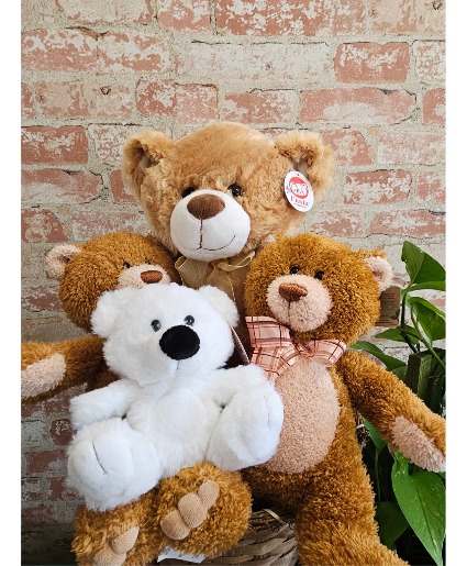 Plush Teddy Bear 