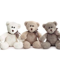 Plush Teddy Bear Gift
