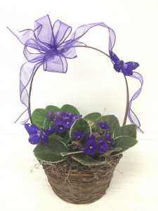 PM-68 African Violets Basket 