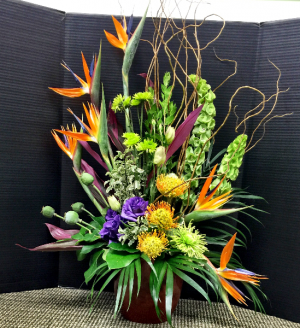 Tropical Design 22 Call for Availability in Galveston, TX | J. MAISEL'S MAINLAND FLORAL Tropical Design 22 Call for Availability in Galveston, TX | J. MAISEL'S MAINLAND FLORAL