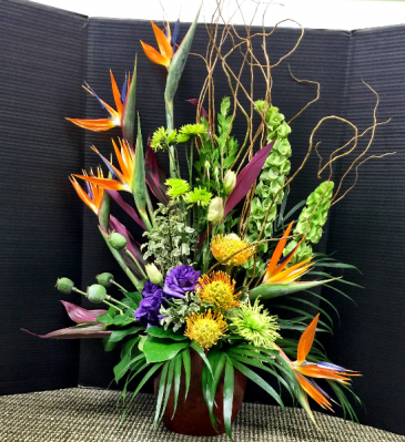 Tropical Design 22 Call for Availability  in Galveston, TX | J. MAISEL'S MAINLAND FLORAL