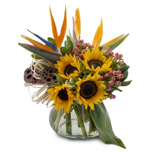 Pods of Paradise Arrangement in Saint Petersburg, FL | ABSOLUTELY BEAUTIFUL FLOWERS Pods of Paradise Arrangement in Saint Petersburg, FL | ABSOLUTELY BEAUTIFUL FLOWERS
