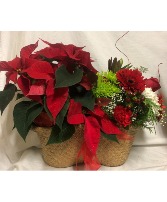 Poinsettia and Flowers Potted and Fresh