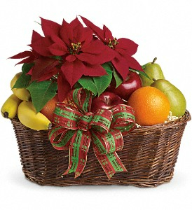 Poinsettia and fruit Christmas basket FBK