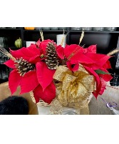 Poinsettia Basket 