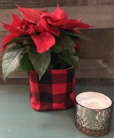 Poinsettia & Candle Bundle 