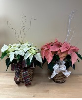 Poinsettia Basket or Holiday Tin