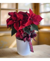Poinsettia Dreams BEST SELLER