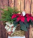 Poinsettia Peanut Basket (Large) 