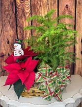 Poinsettia Peanut Basket (small) 