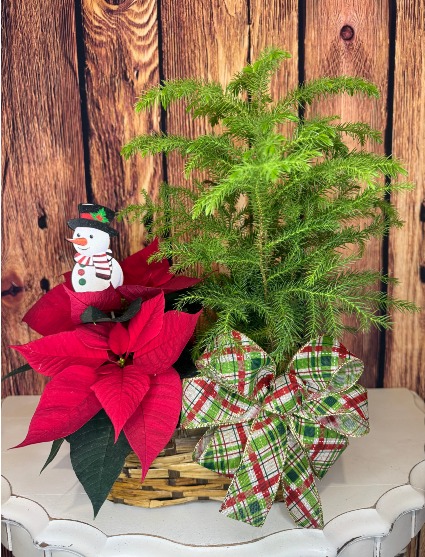Poinsettia Peanut Basket (small) 