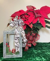 Pointsettia & Lantern with Large White Candle Christmas Arrangement