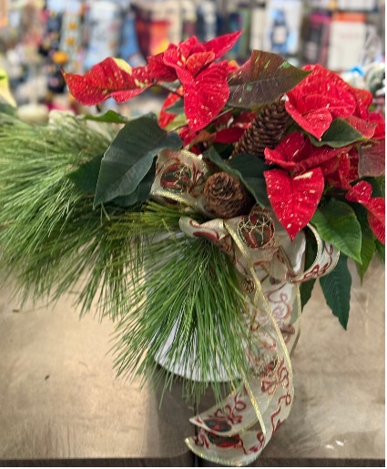 Pointsettia Red With Assorted Colors Pointsettia