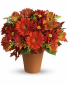 Pot of Posies Fall