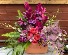 Polarbox Cooler with Flowers  Fresh Arrangement