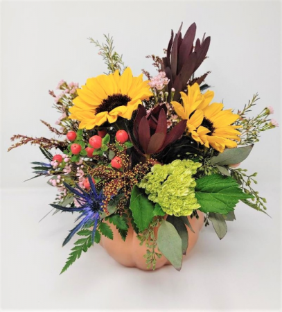 Polished Pumpkin Posies Thanksgiving Arrangement