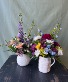 Blooming Pitcher 