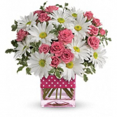 Polka Dot Surprise Floral Delivery