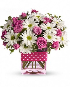 Polka Dots and Daisies Fresh Arrangement