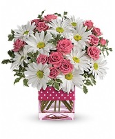 Polka Dots and Posies'  cube