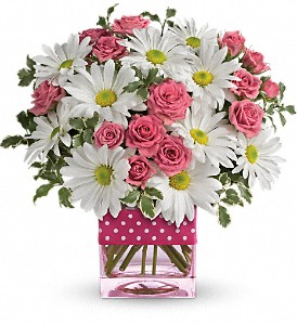 Polka Dots and Posies Fresh arrangenment in Cincinnati, OH | Hyde Park Floral & Garden Polka Dots and Posies Fresh arrangenment in Cincinnati, OH | Hyde Park Floral & Garden