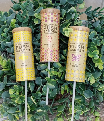 Pollinator Push Garden