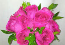 Pop Of Pink Bridal Bouquet