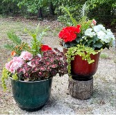 Popping Planter 