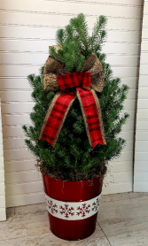 Pop's Christmas Tree EXCLUSIVELY AT MOM & POPS