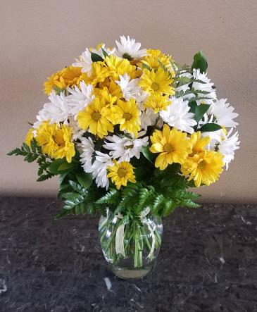 Pop's Daisey Bouquet Exclusively at Mom & Pops in Ventura, CA | Mom And Pop Flower Shop Pop's Daisey Bouquet Exclusively at Mom & Pops in Ventura, CA | Mom And Pop Flower Shop
