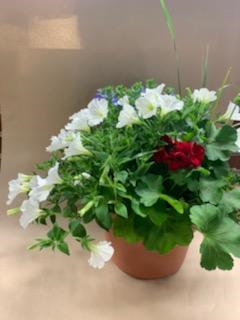 Appreciation Porch Pot Annual Summer Plants