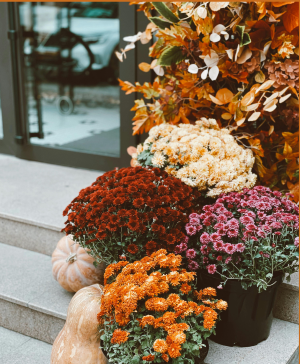 Basic Package Porch Styling
