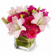 Posh Petals Delivery