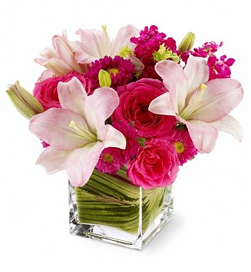 Posh Petals Delivery