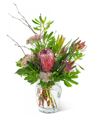 Posh Protea Arrangement