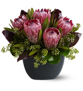 Positively Protea 