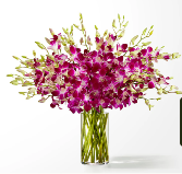 Positively Purple Orchid Bouquet 