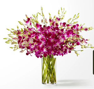 Positively Purple Orchid Bouquet 