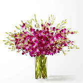 Positively Purple Orchid Bouquet 