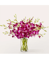 Positively Purple Orchid FS209 Bouquet 