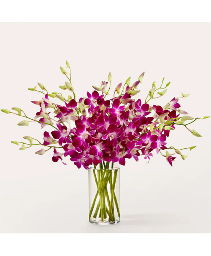 Positively Purple Orchid FS209 Bouquet 