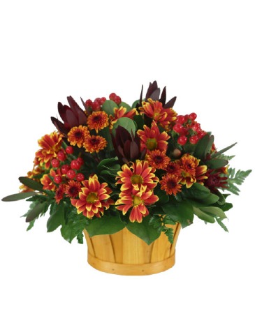 Postcard Of Autumn Arrangement in Fort Worth, TX | DARLA'S FLORIST Postcard Of Autumn Arrangement in Fort Worth, TX | DARLA'S FLORIST