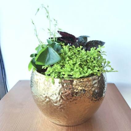 Pot O' Gold Planter