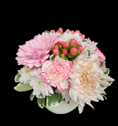 Pot o Petals - Pink Container arrangement