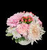 Pot o Petals - Pink Container arrangement
